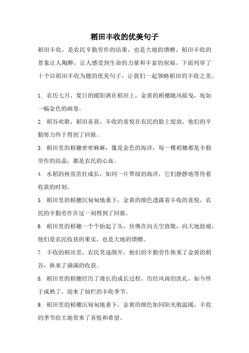 稻田丰收的优美句子