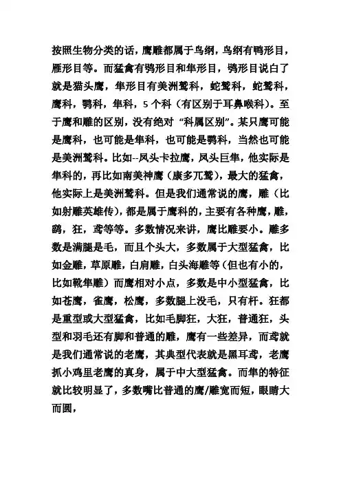 隼鹰鹞的区别