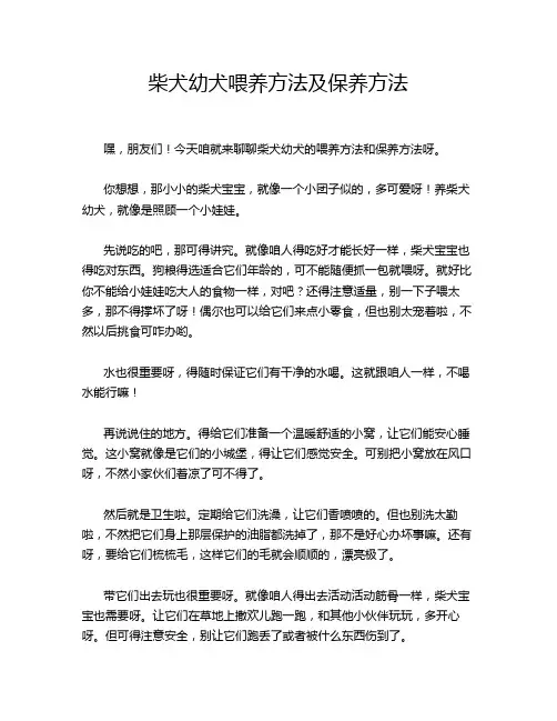 柴犬幼犬喂养方法及保养方法