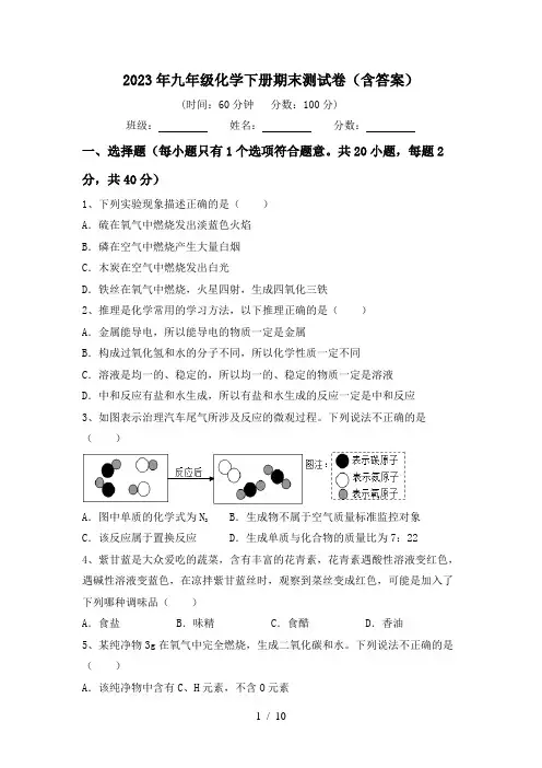 2023年九年级化学下册期末测试卷(含答案)