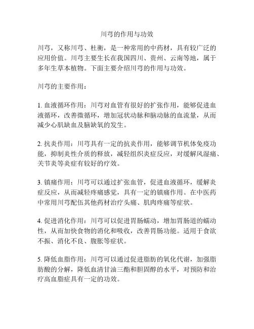 川芎的作用与功效