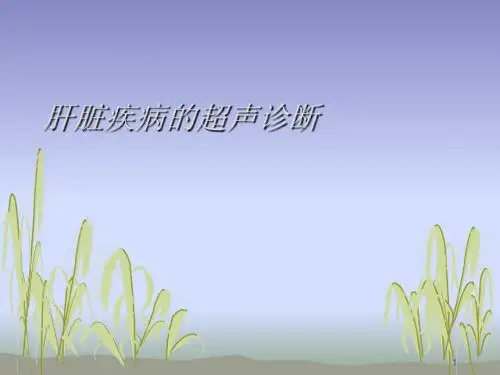 肝脏疾病的超声诊断ppt课件