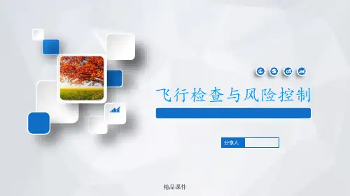 飞检与风险控制ppt课件