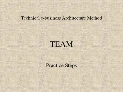 TeAM方法培训PPT课件教程