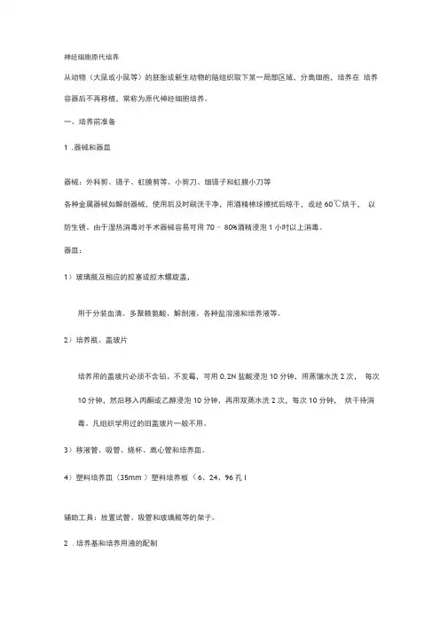 原代神经元培养