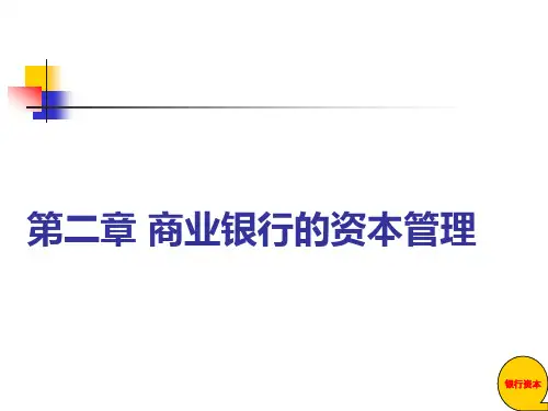 第2章商业银行的资本管理[1]