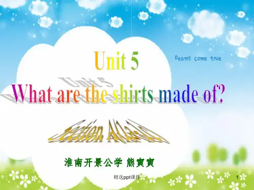 人教版九年级英语Unit-5-What-are-the-shirts-made-of--(Secti