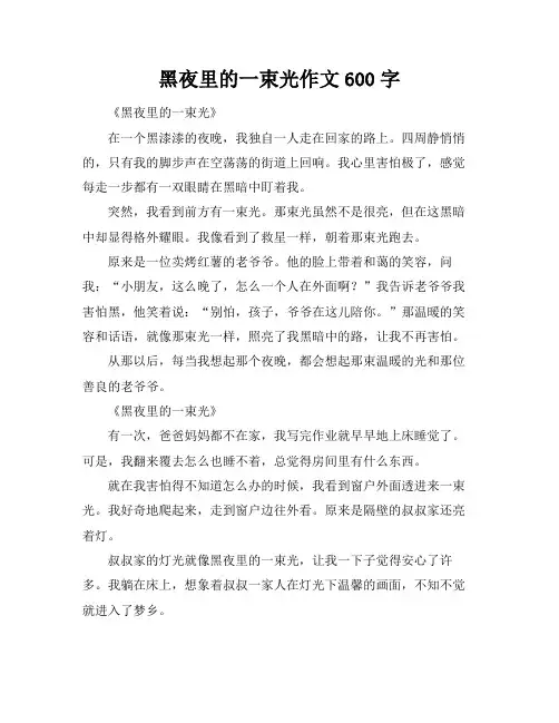 黑夜里的一束光作文600字