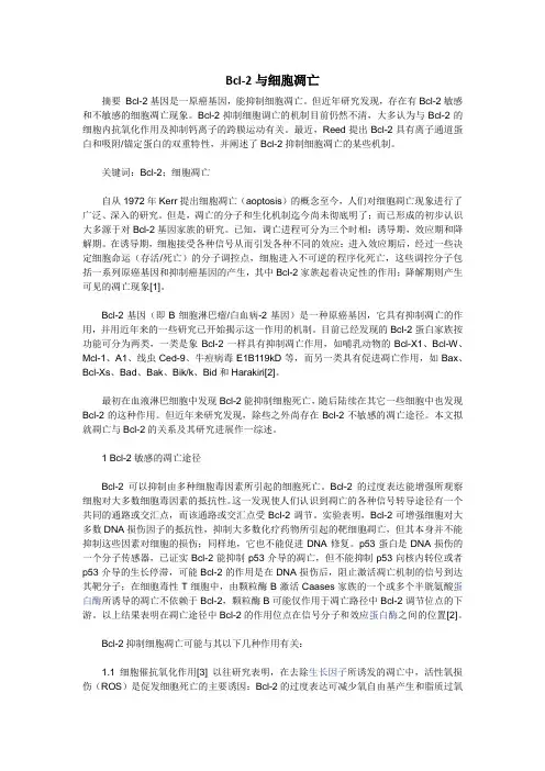 Bcl-2与细胞凋亡
