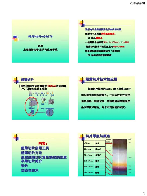 透射电子显微镜样品制作(下)