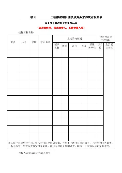 项目工程拟派项目团队及劳务来源统计报名表