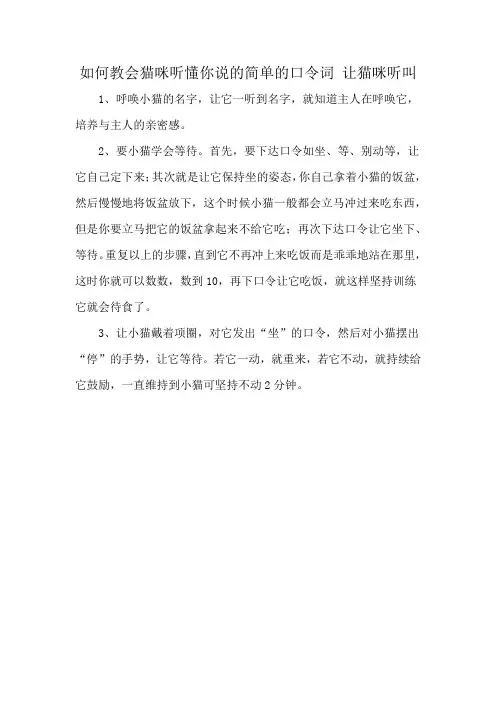 如何教会猫咪听懂你说的简单的口令词 让猫咪听叫