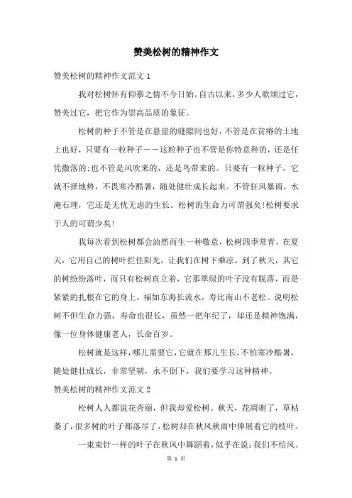 赞美松树的精神作文