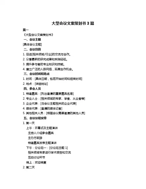 大型会议文案策划书3篇