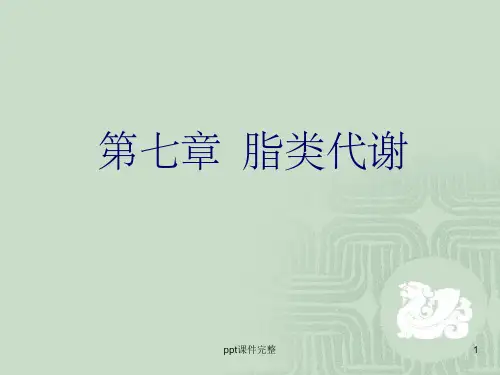 脂类代谢完整ppt课件