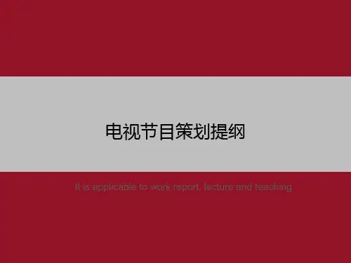 电视节目策划提纲