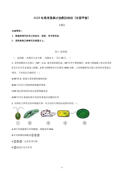 2023年高考生物强基计划疯狂特训(全国甲卷)(三)