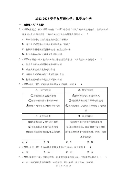 2022-2023学年九年级化学：化学与生活(附答案解析)