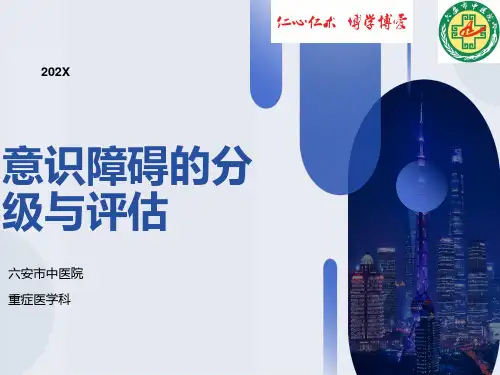 意识障碍的分级与评估