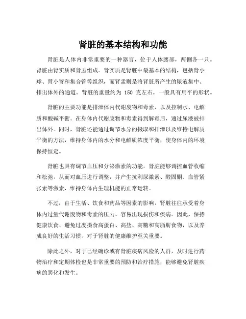 肾脏的基本结构和功能