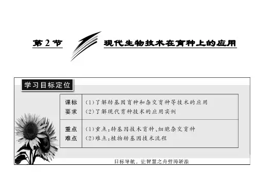 2.2现代生物技术在育种上的应用