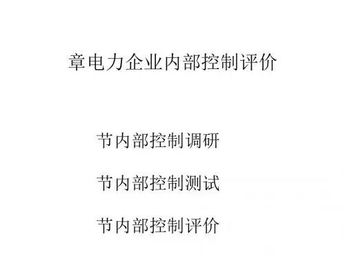 电力企业内部控制管理知识分析评价(ppt81张)