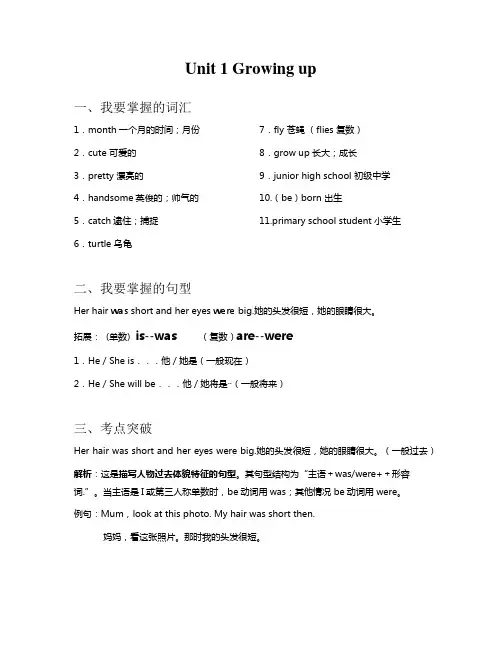 小学英语六年级上册知识清单