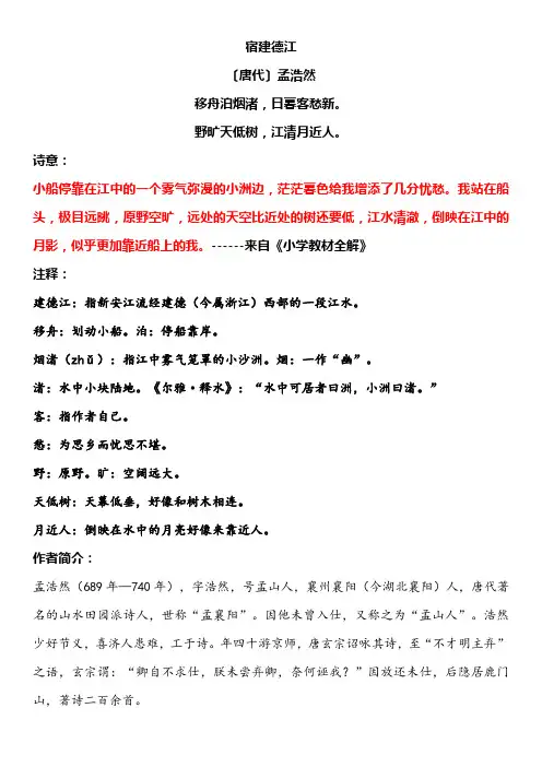 宿建德江古诗意思解释