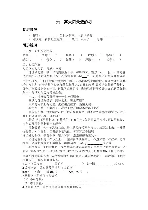 毕淑敏《离太阳最近的树》练习题