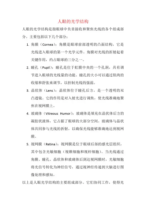 人眼的光学结构