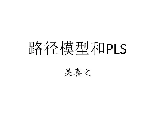 路径模型和PLS