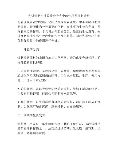 先进钾肥在油菜养分吸收中的作用及机制分析