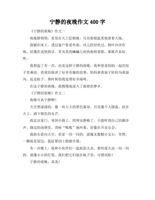 宁静的夜晚作文400字