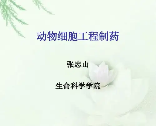 动物细胞工程制药.pptx