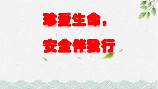 珍爱生命,安全伴我行——安全教育主题班会课件