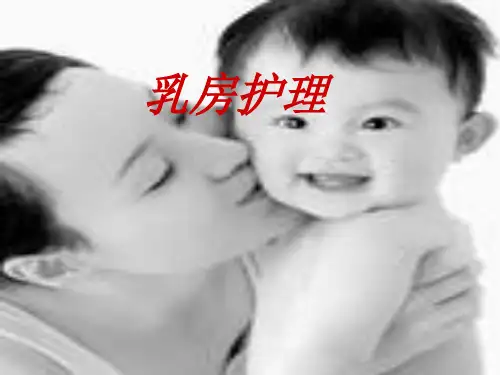 母乳喂养及乳房护理ppt课件