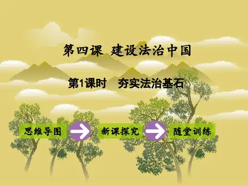 九年级上册道德与法治教学课件第四课 第1课时 夯实法治基石