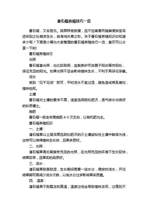 番石榴养殖技巧一览