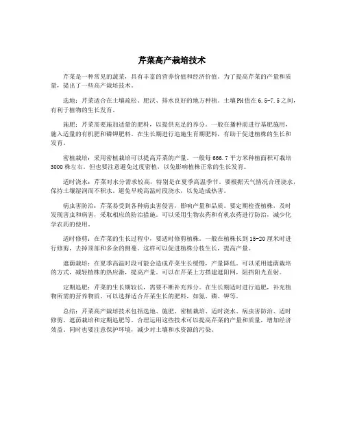 芹菜高产栽培技术