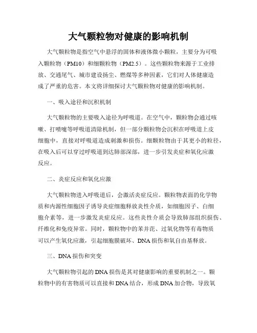 大气颗粒物对健康的影响机制
