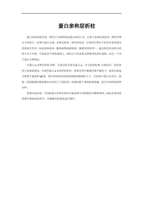 蛋白亲和层析柱