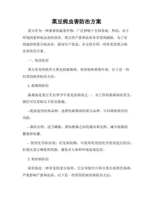 菜豆病虫害防治方案