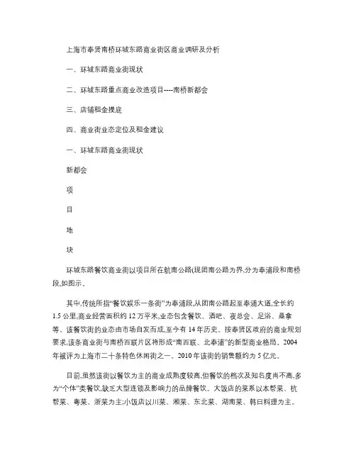 上海市奉贤南桥环城东路商业街区商业调研及分析_图文(精)