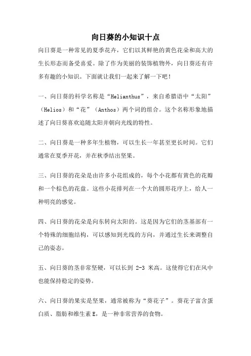 向日葵的小知识十点