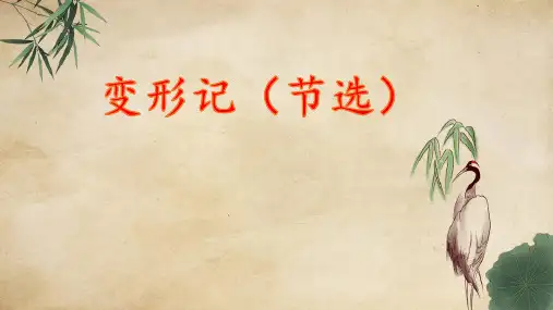 《变形记》ppt课件(21页)