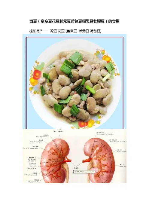 肾豆（皇帝豆花豆状元豆荷包豆相思豆壮腰豆）的食用