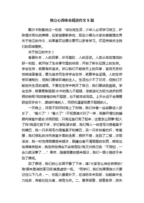 独立心得体会精选作文5篇