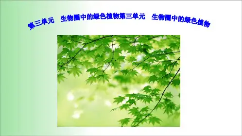 人教版七年级生物上册.1 藻类 苔藓和蕨类植物 课件