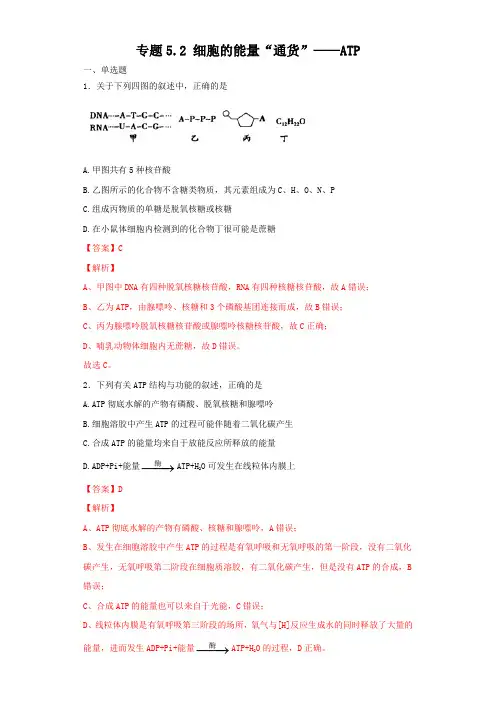 细胞的能量“通货”——ATP(精选练习)-2019-2020学年上学期高一生物(人教版必修1)(解析版)