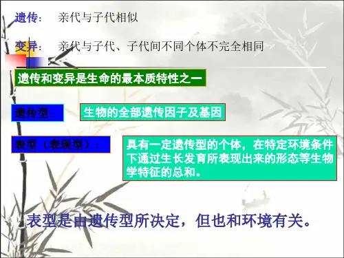 微生物的遗传变异和育种 PPT课件